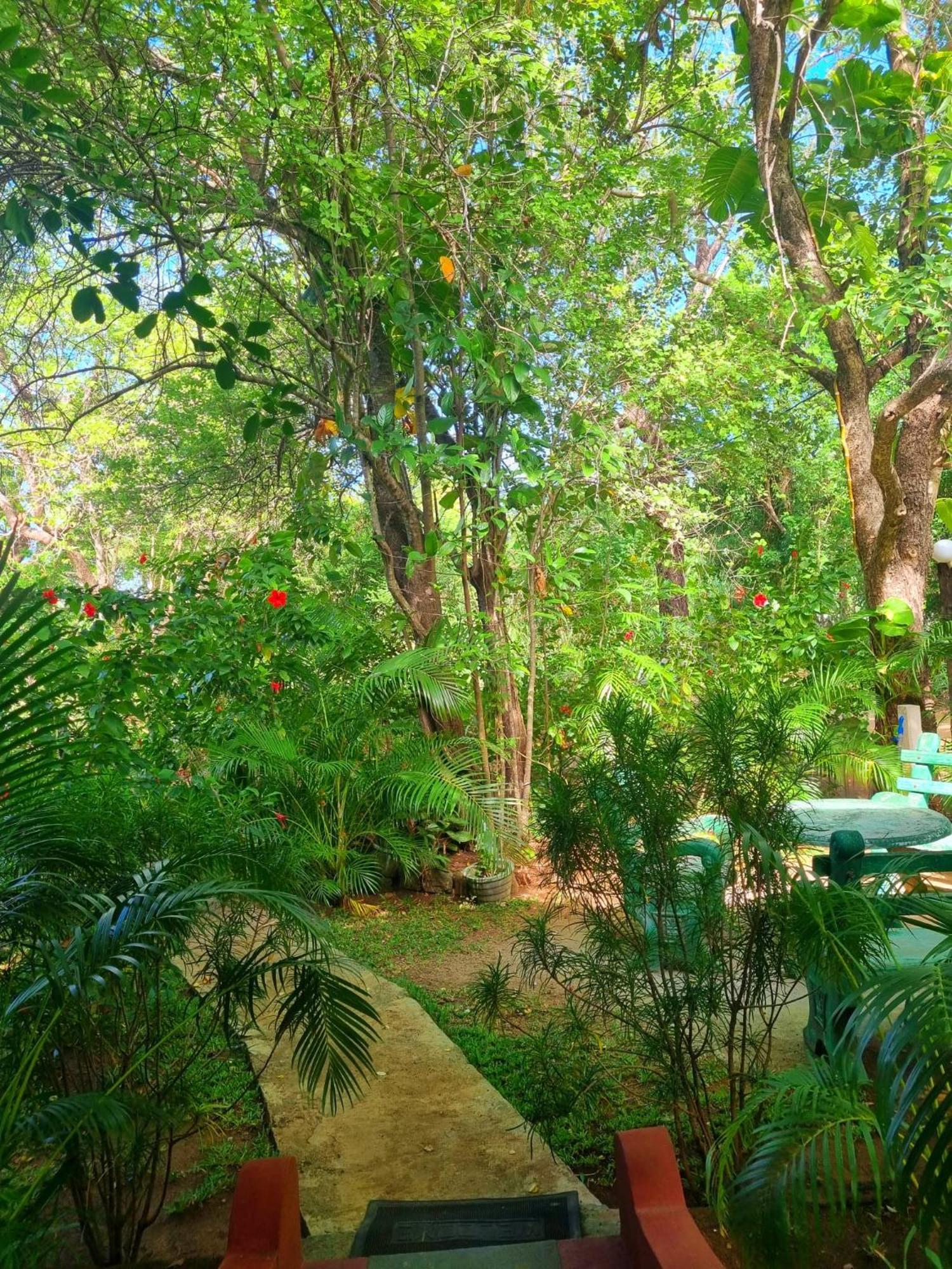Sunrise Cottage Sigiriya Exterior photo