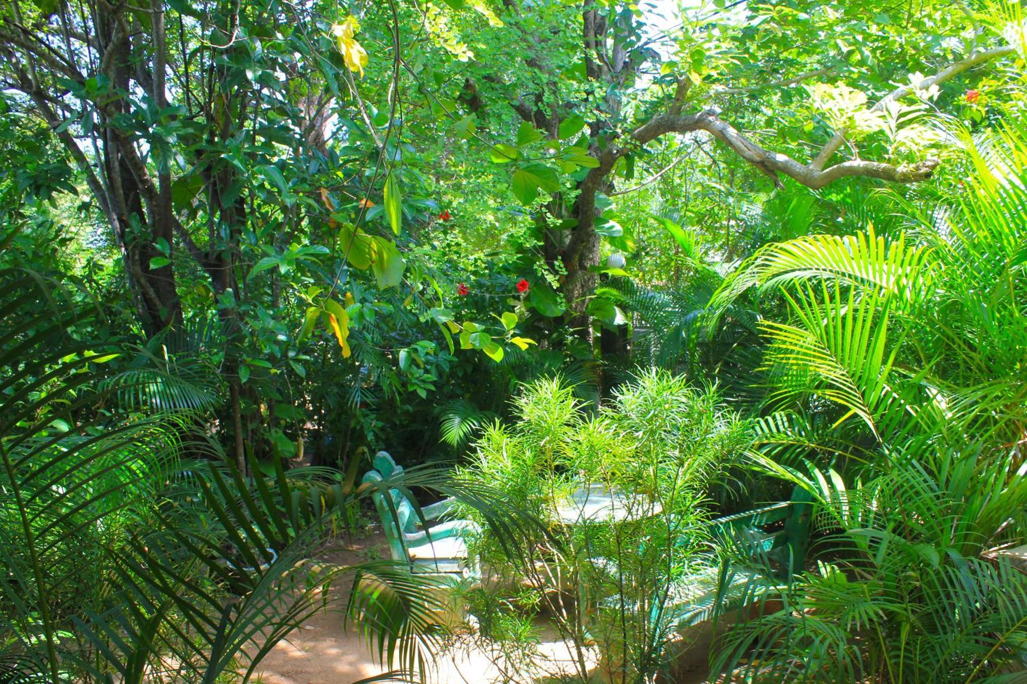 Sunrise Cottage Sigiriya Exterior photo